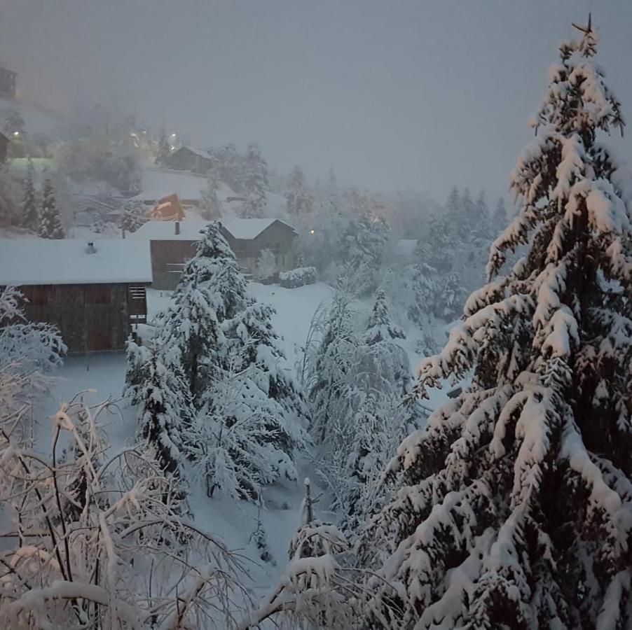 Panoramic Xalet La Molina Con Vistas Excelentes Villa Екстериор снимка